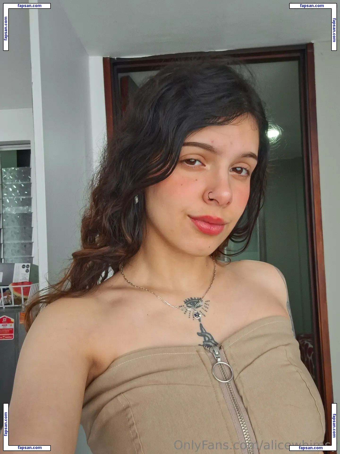 alicewhimsy1 nude photo #0008 from OnlyFans