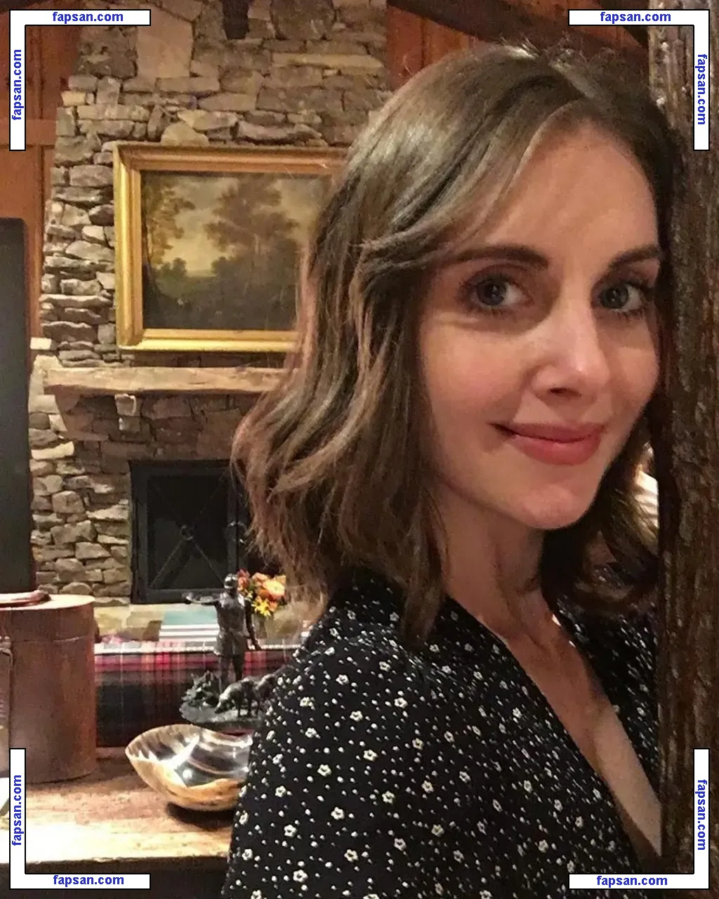 Alison Brie голая фото #0638 с Онлифанс
