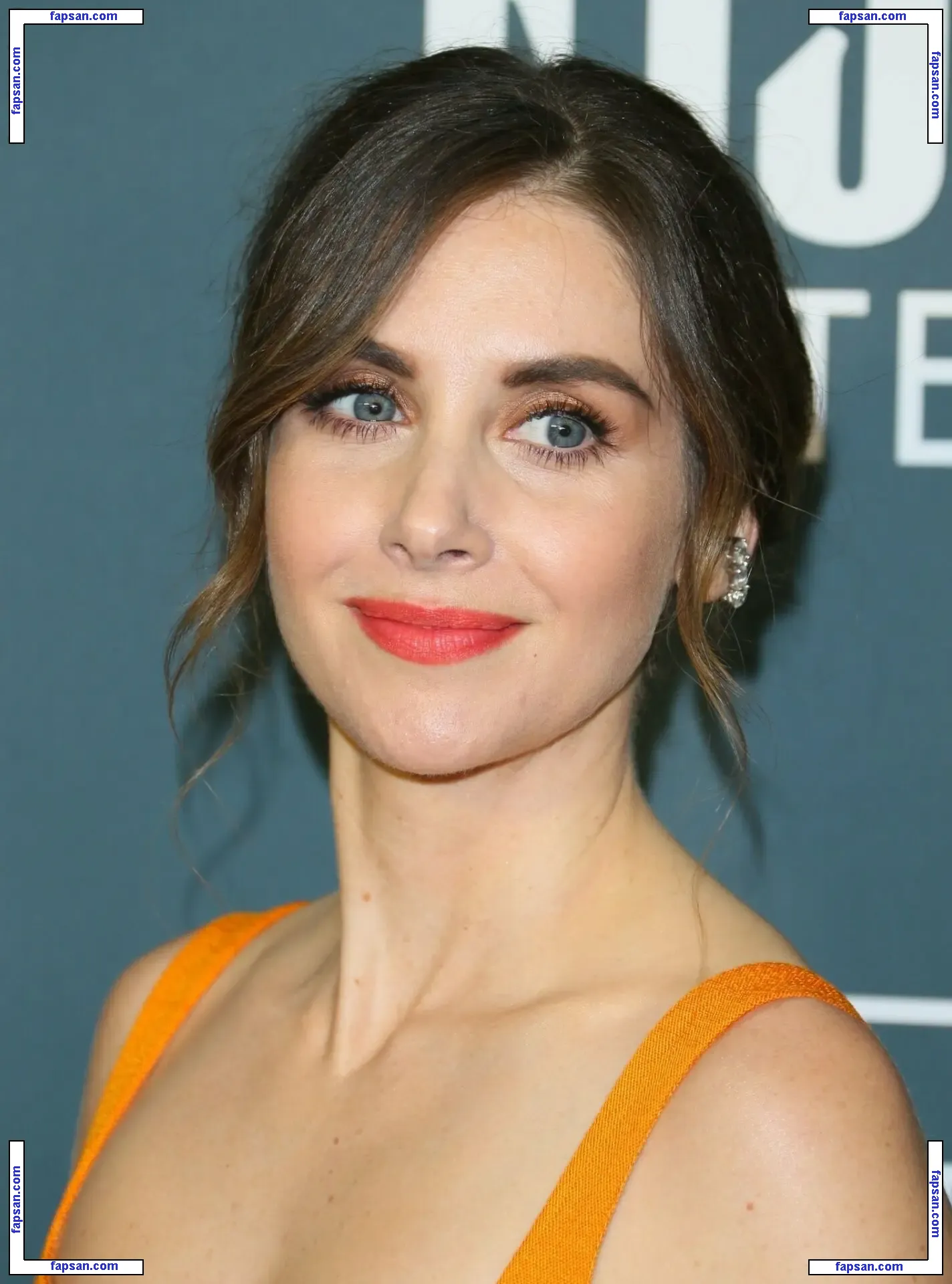 Alison Brie nude photo #1335 from OnlyFans