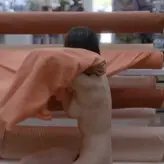 Alison Brie nude #1475