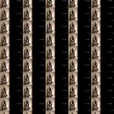 alissa_wxw голая #0334