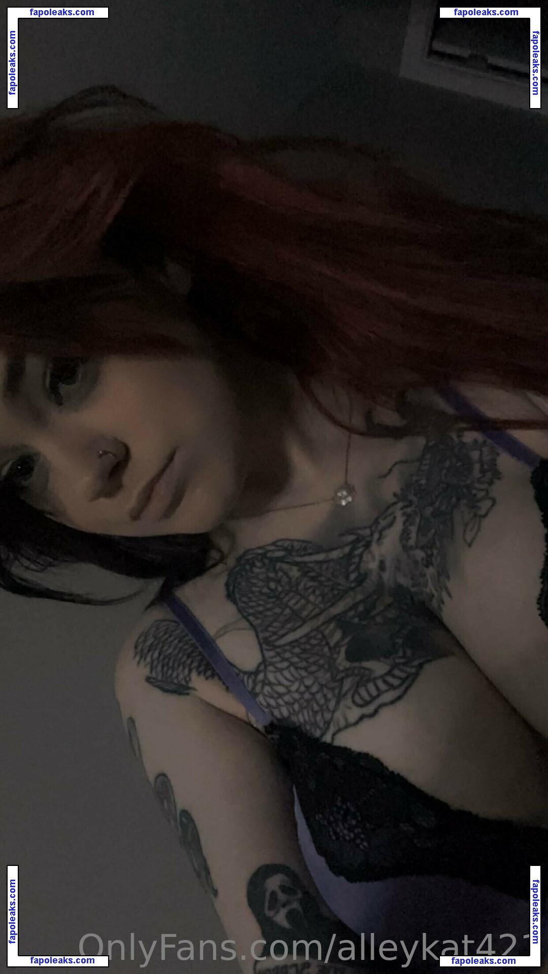 Alleykat / alleyk.at_ / alleykat421 nude photo #0146 from OnlyFans