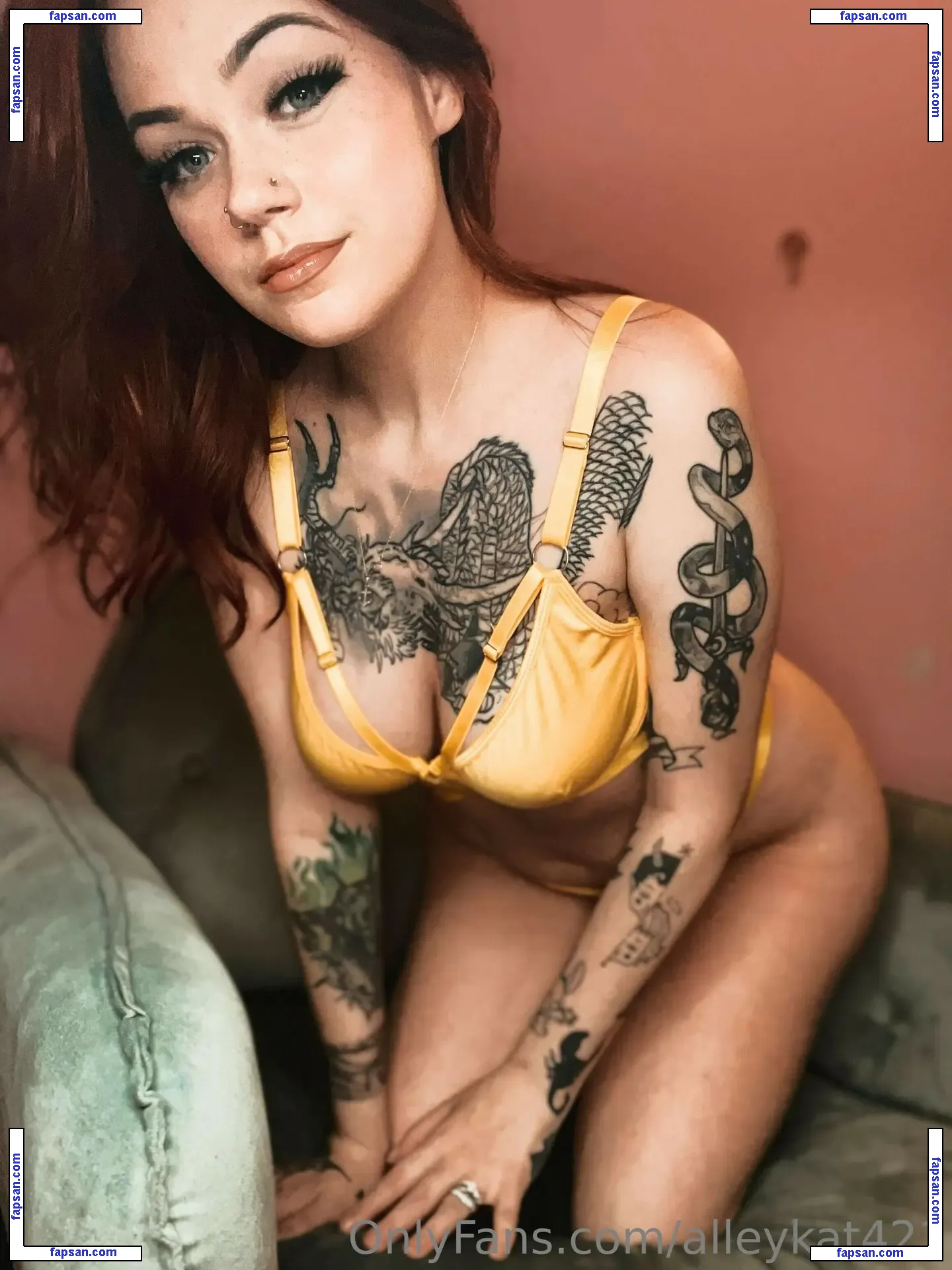 AlleyKat421 nude photo #0039 from OnlyFans