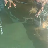 Alondra Marie Torres nude #0008