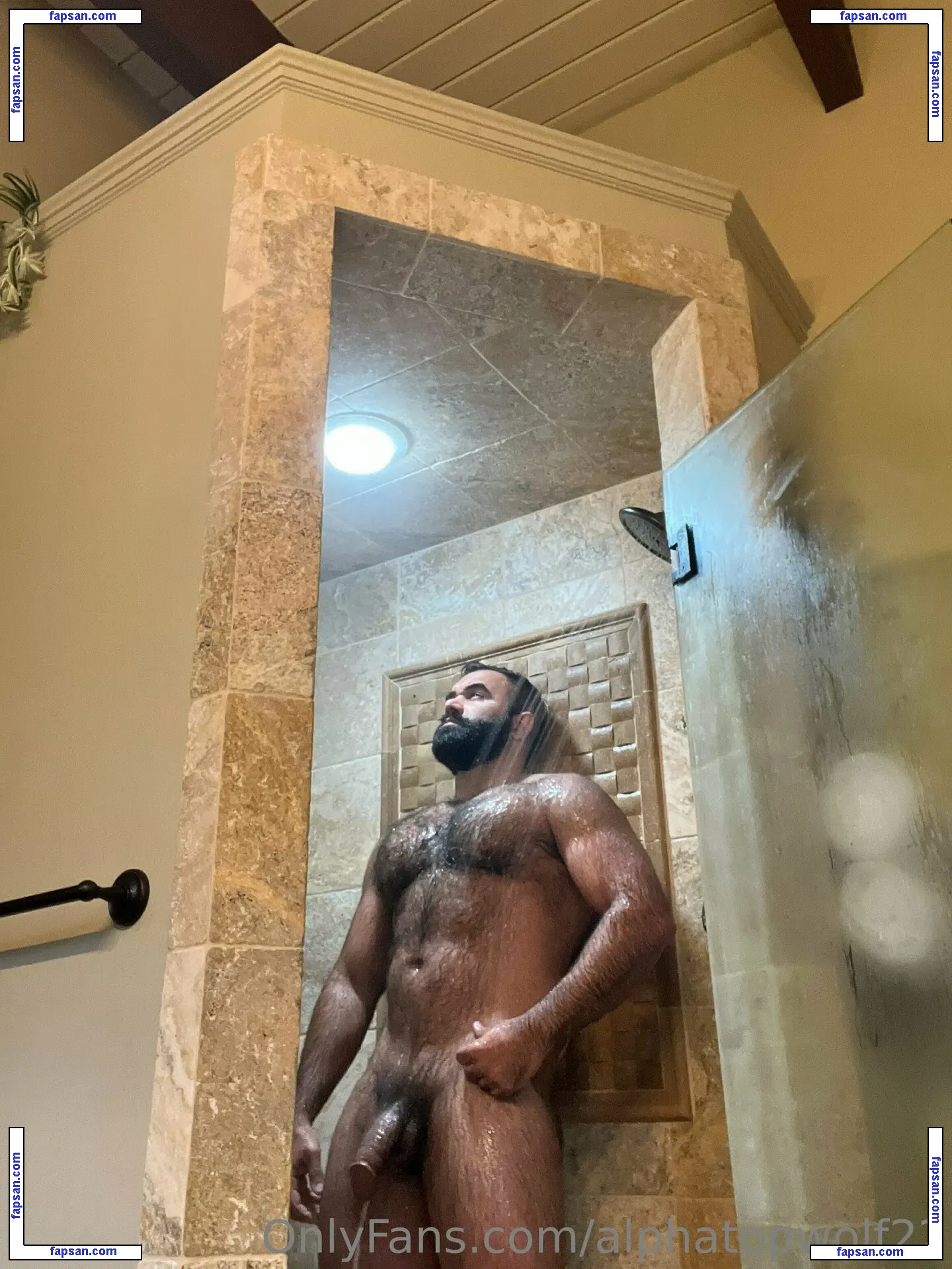 alphatopwolf22 / alphawolfcvlt nude photo #0001 from OnlyFans