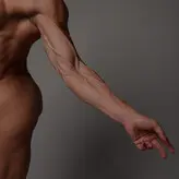 Amanda Machado nude #0005