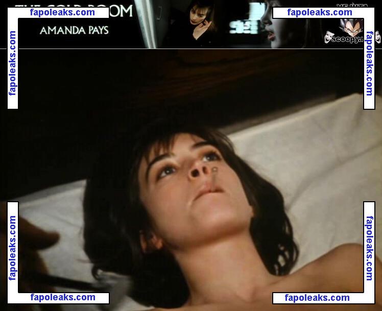 Amanda Pays nude photo #0011 from OnlyFans