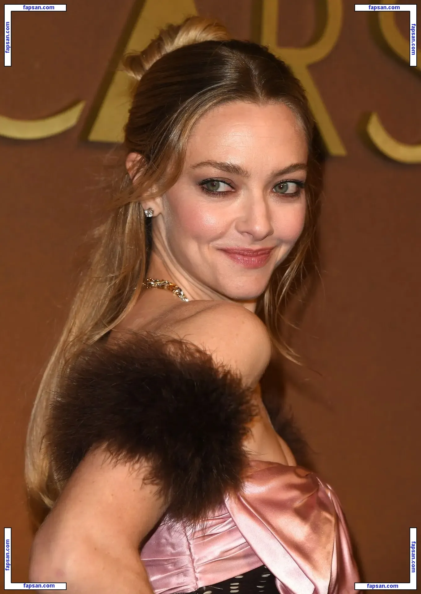 Amanda Seyfried голая фото #1182 с Онлифанс