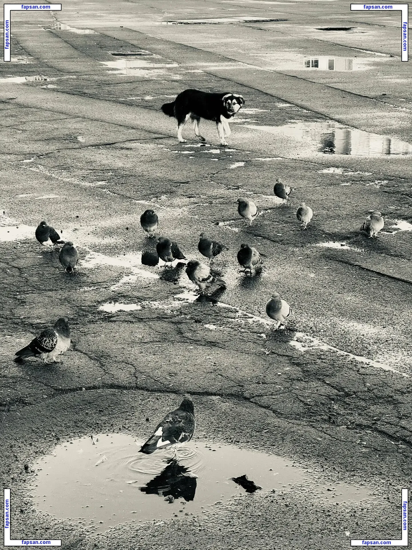 amarita_franchetti nude photo #0035 from OnlyFans