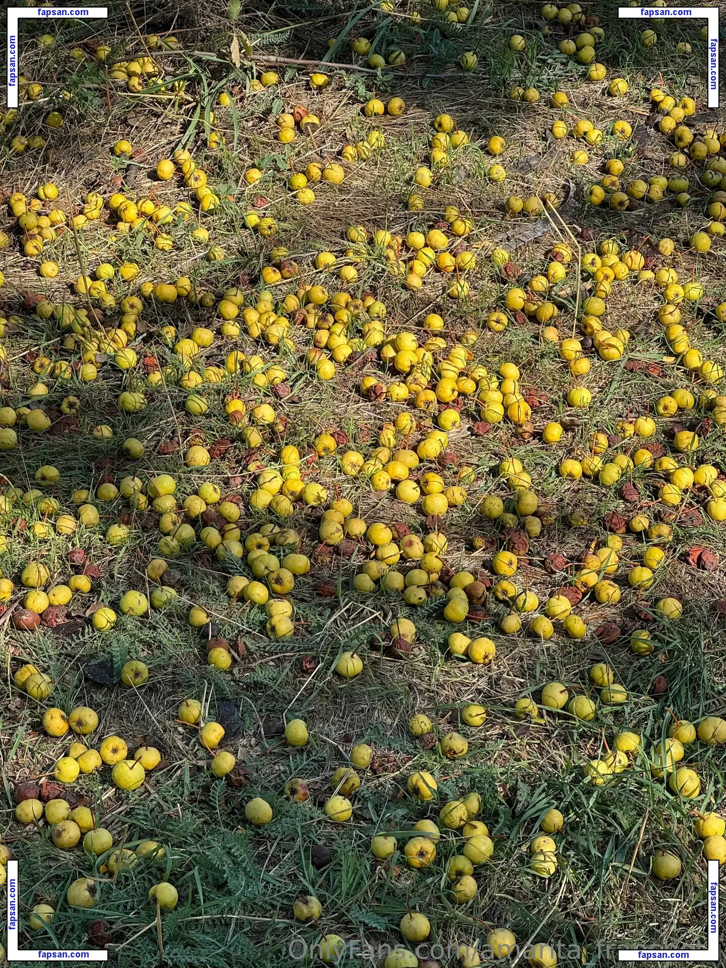 amarita_franchetti nude photo #0036 from OnlyFans