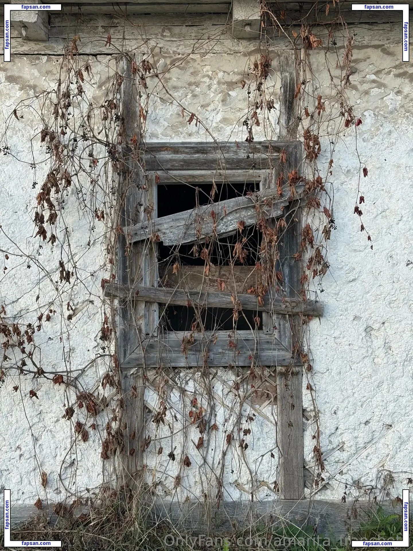 amarita_franchetti nude photo #0038 from OnlyFans