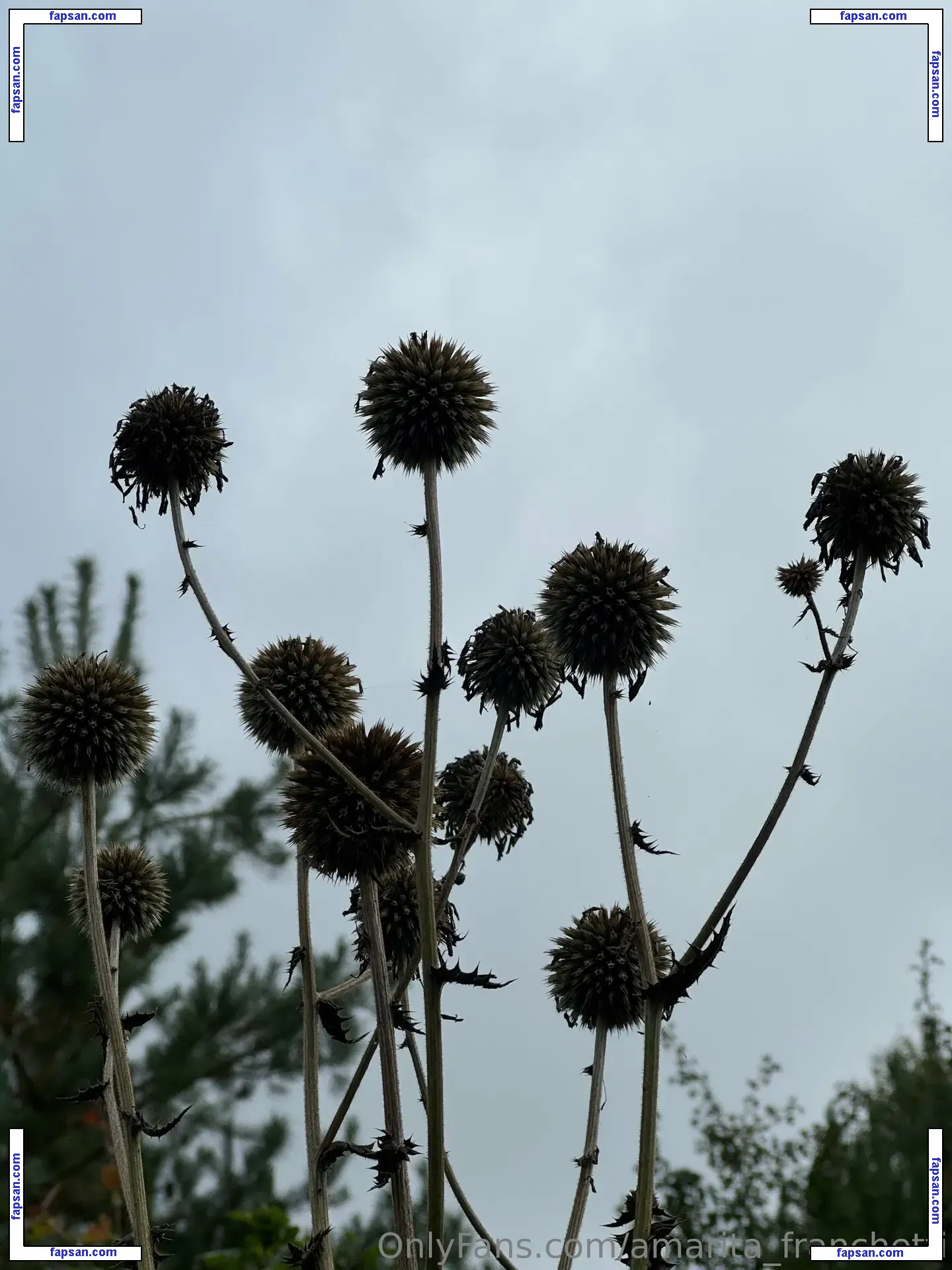 amarita_franchetti nude photo #0041 from OnlyFans