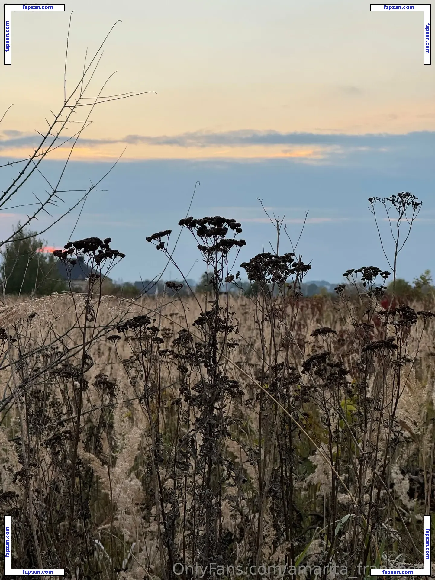 amarita_franchetti nude photo #0042 from OnlyFans