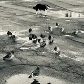 amarita_franchetti nude #0035