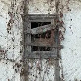 amarita_franchetti nude #0038