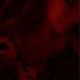 Amber Glenn nude #0009