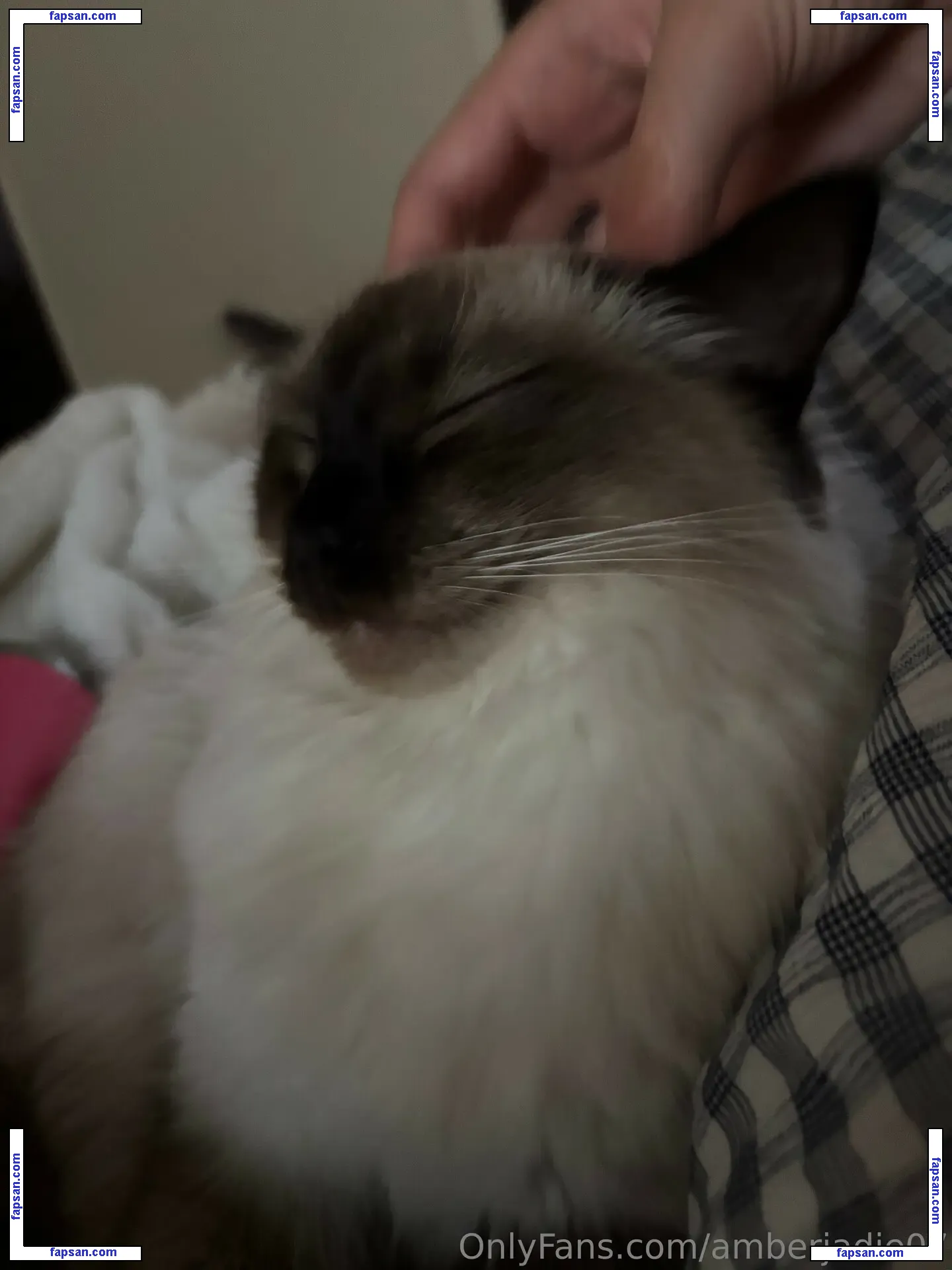 Ambsjadie голая фото #0003 с Онлифанс