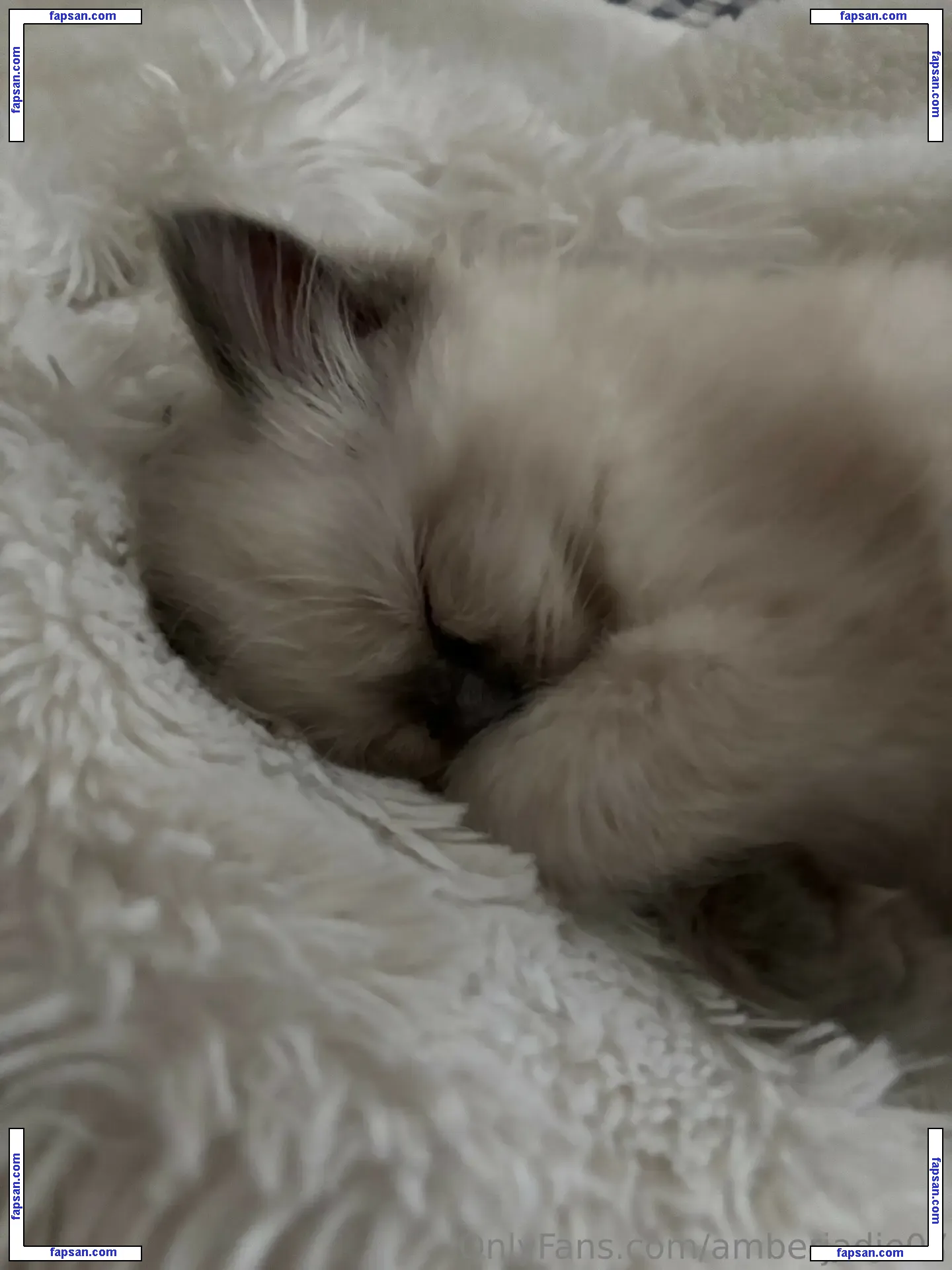 Ambsjadie голая фото #0014 с Онлифанс