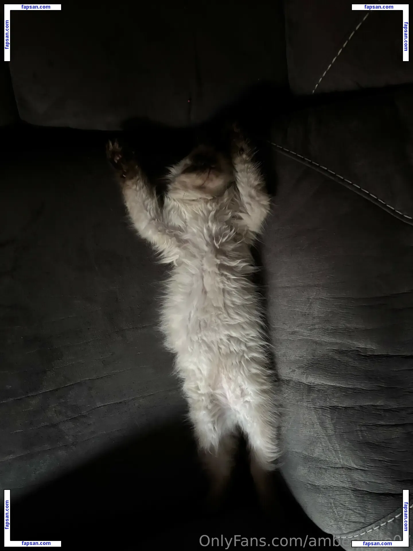 Ambsjadie голая фото #0022 с Онлифанс