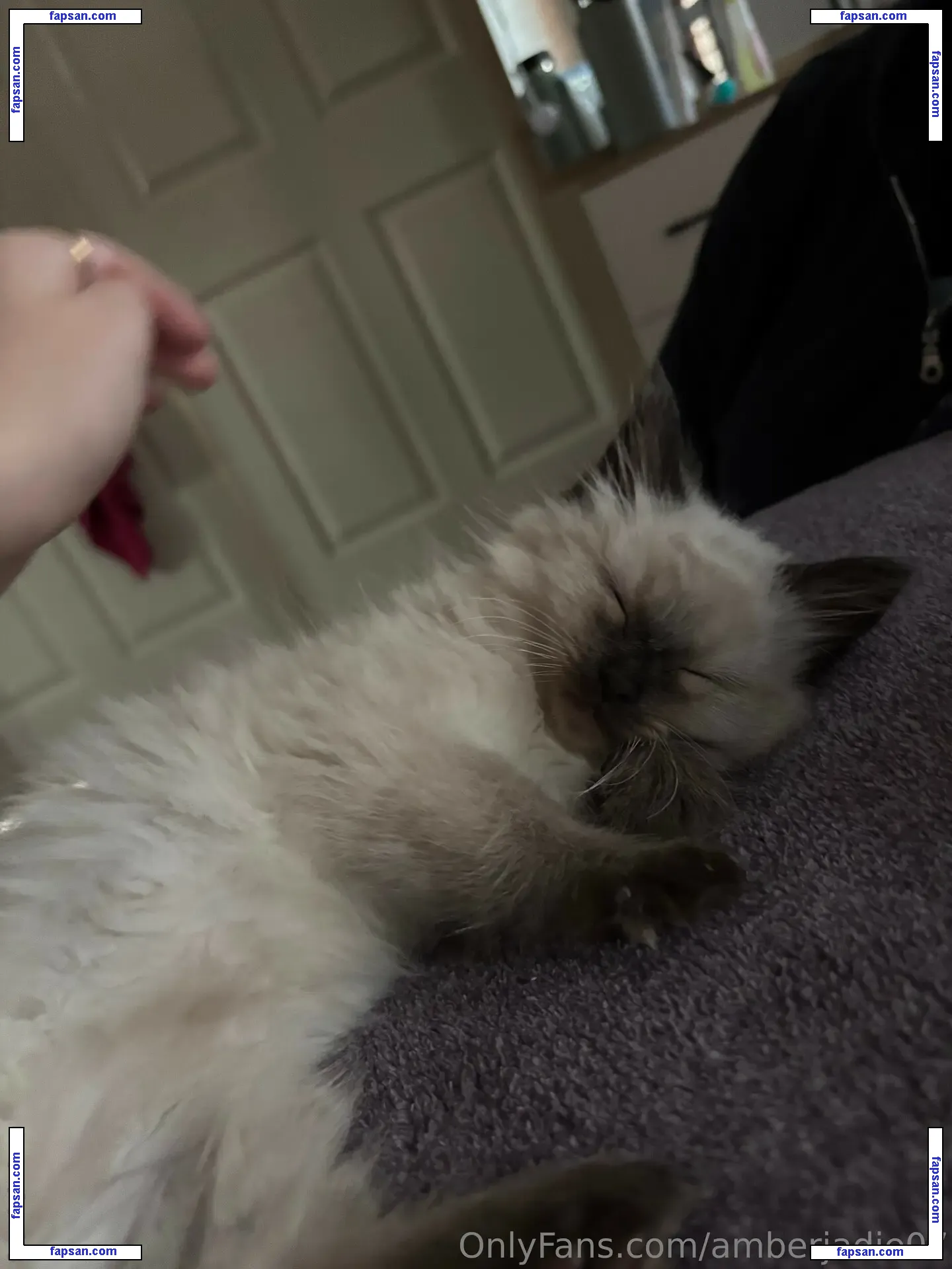 Ambsjadie голая фото #0023 с Онлифанс