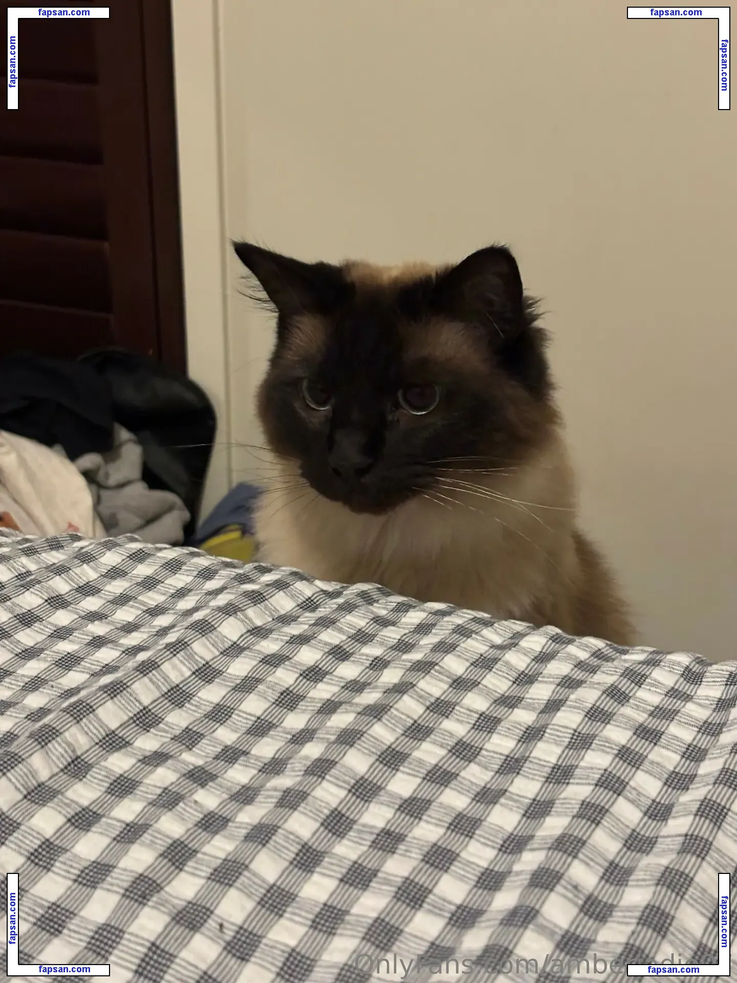 Ambsjadie голая фото #0024 с Онлифанс