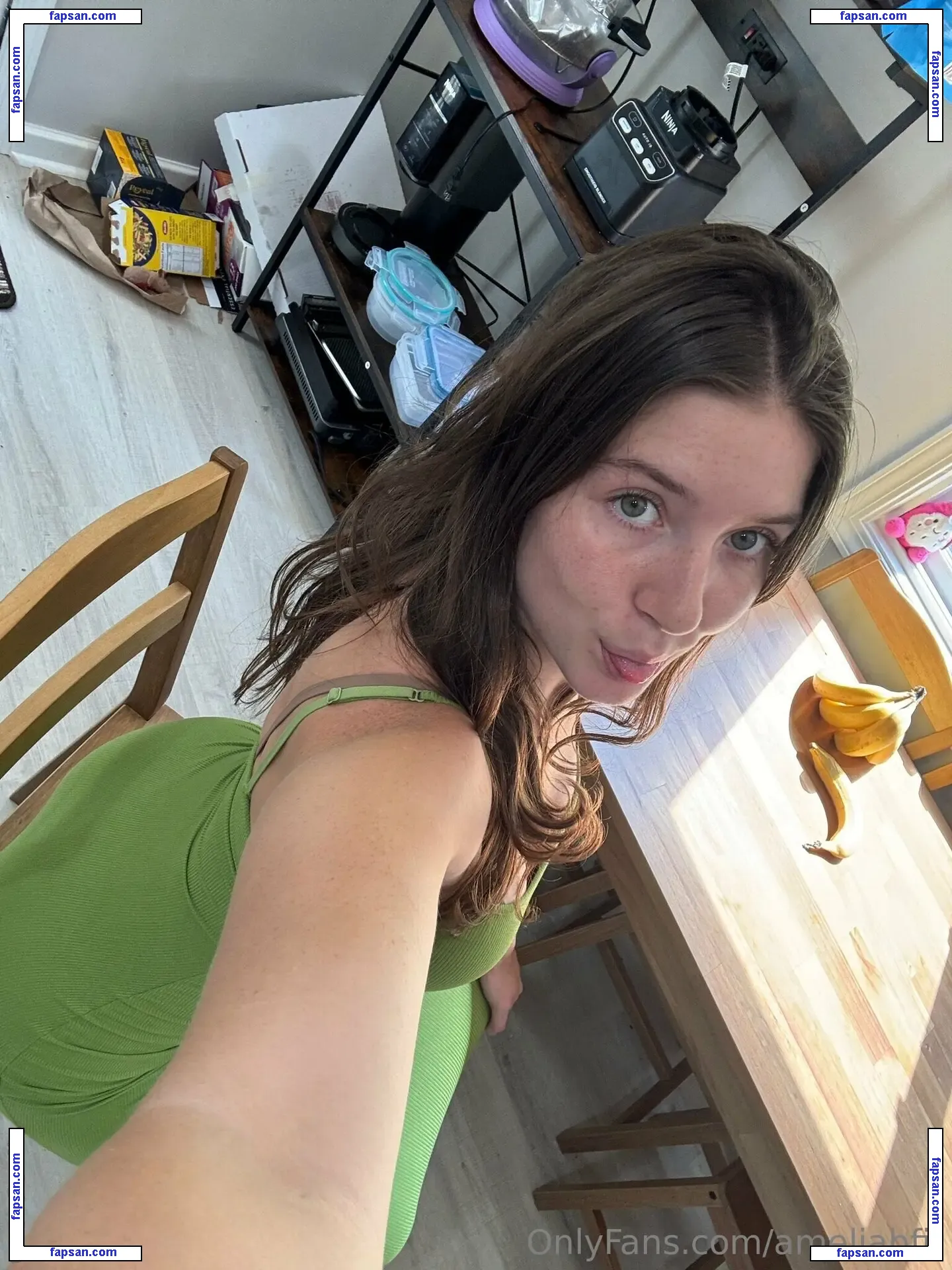 ameliabfit nude photo #0045 from OnlyFans