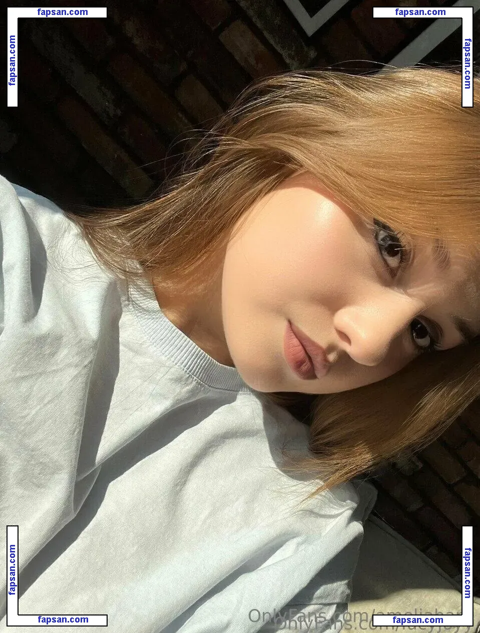 ameliahard nude photo #0112 from OnlyFans