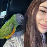 AmoreKiwik nude #0012