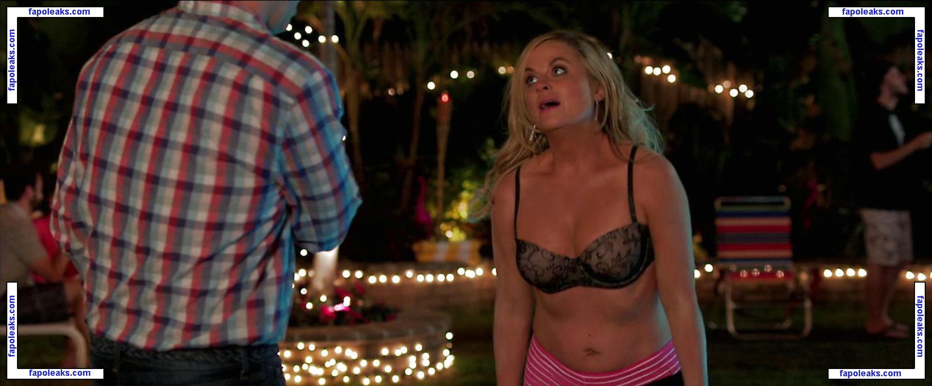 Amy Poehler nude photo #0009 from OnlyFans