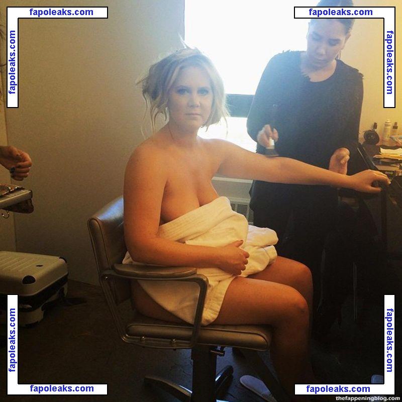 Amy Schumer / amyschumer nude photo #0210 from OnlyFans