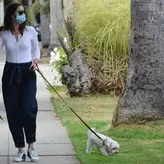 Ana de Armas голая #1161