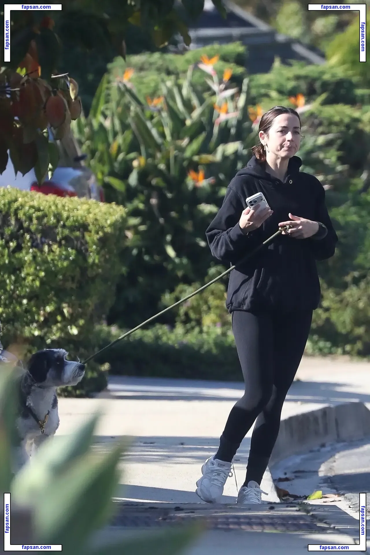 Ana de Armas nude photo #3822 from OnlyFans