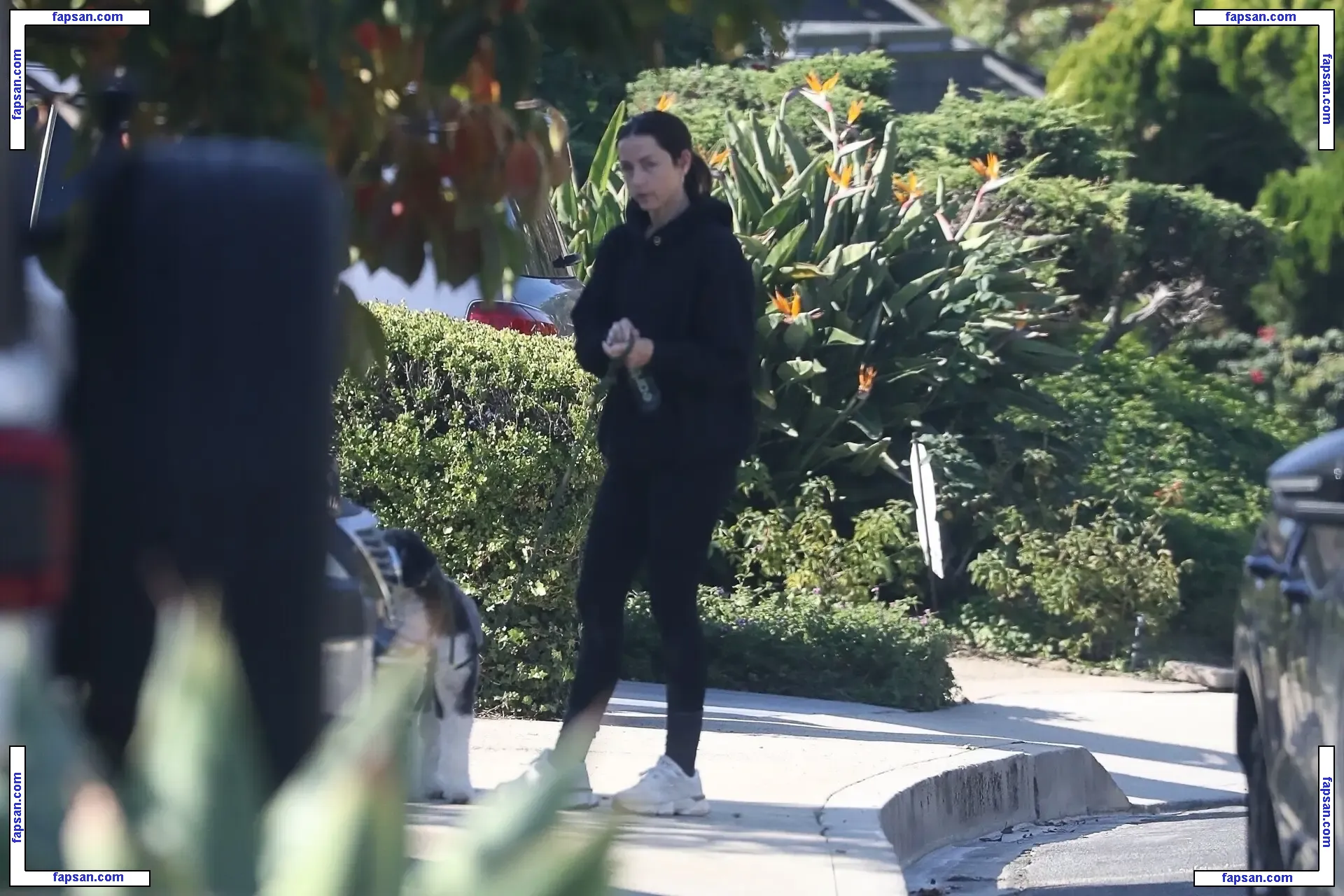 Ana de Armas nude photo #3829 from OnlyFans