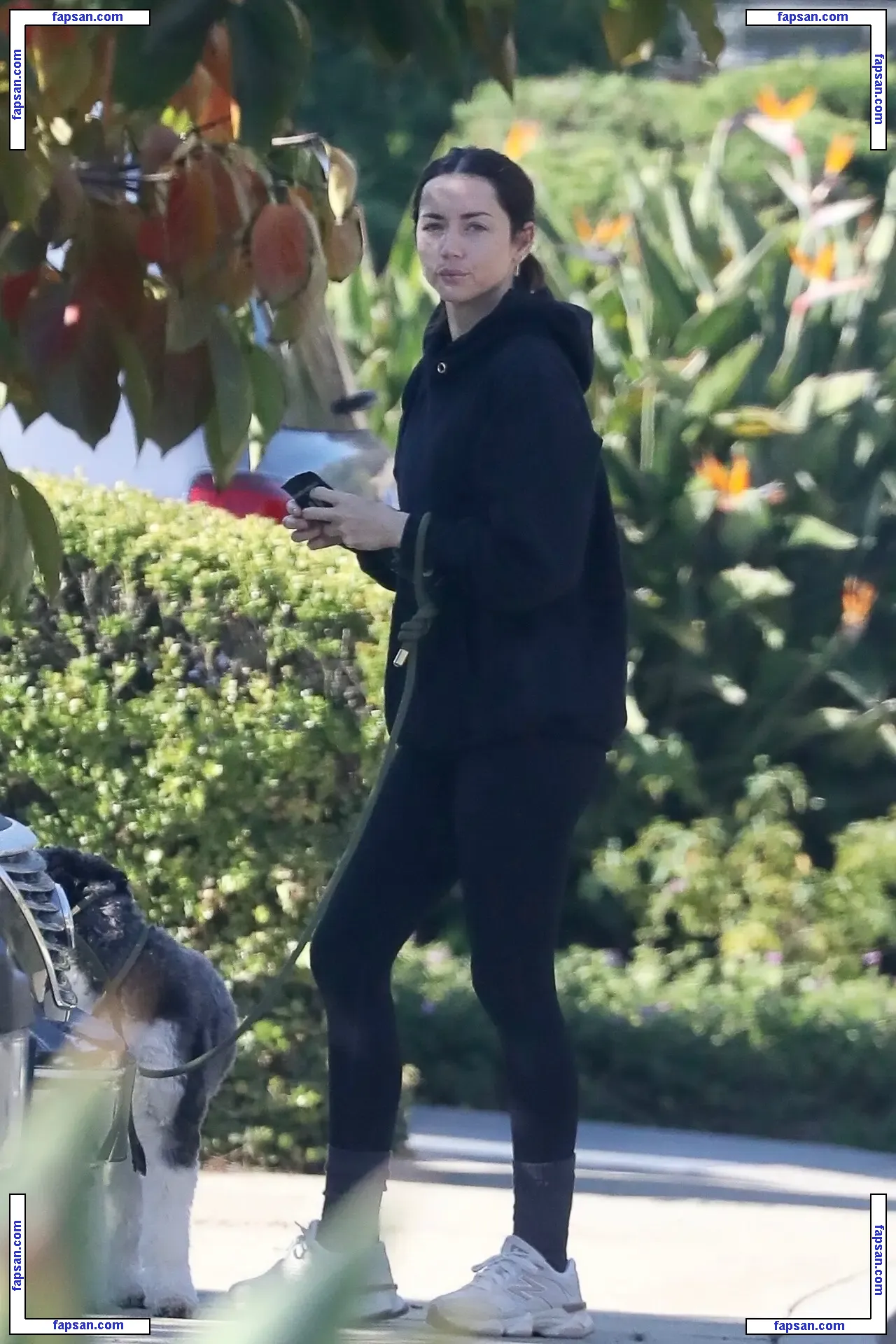 Ana de Armas nude photo #3830 from OnlyFans