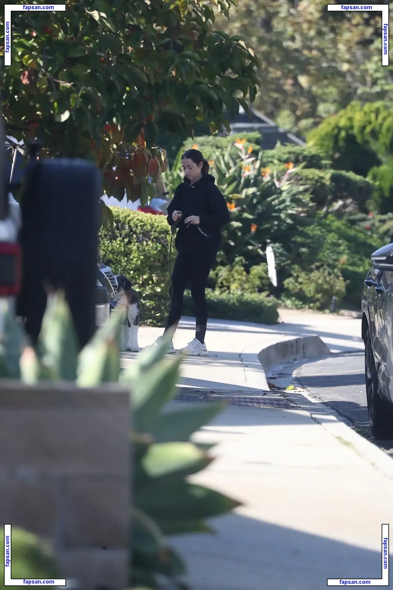 Ana de Armas nude photo #3831 from OnlyFans