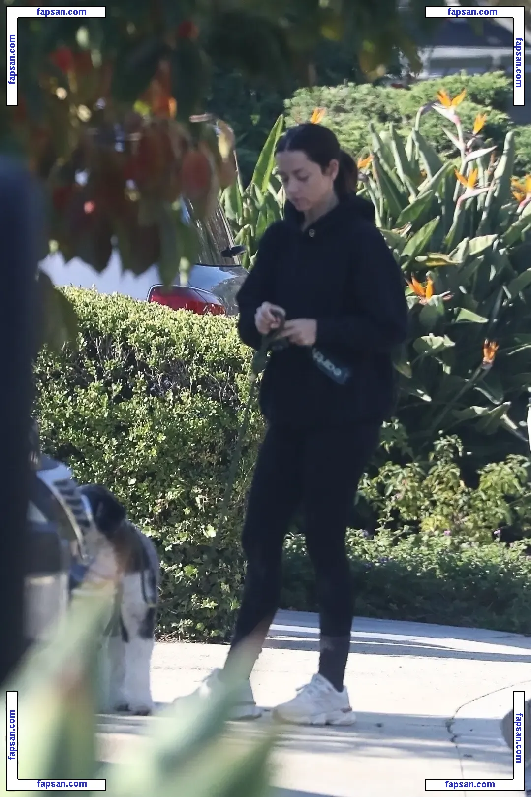 Ana de Armas nude photo #3835 from OnlyFans