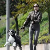 Ana de Armas голая #3790