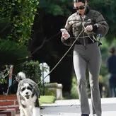 Ana de Armas голая #3799