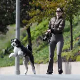 Ana de Armas голая #3805