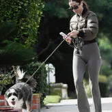 Ana de Armas голая #3808