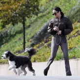 Ana de Armas голая #3812