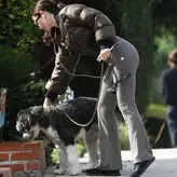 Ana de Armas голая #3815