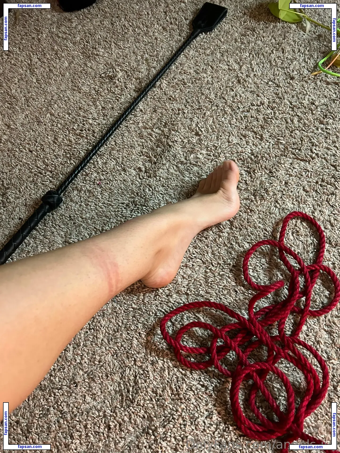 angels-ivy nude photo #0041 from OnlyFans