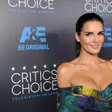 Angie Harmon голая #0249