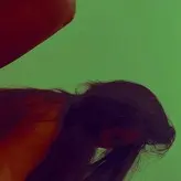 Anika Vishwanath голая #0010