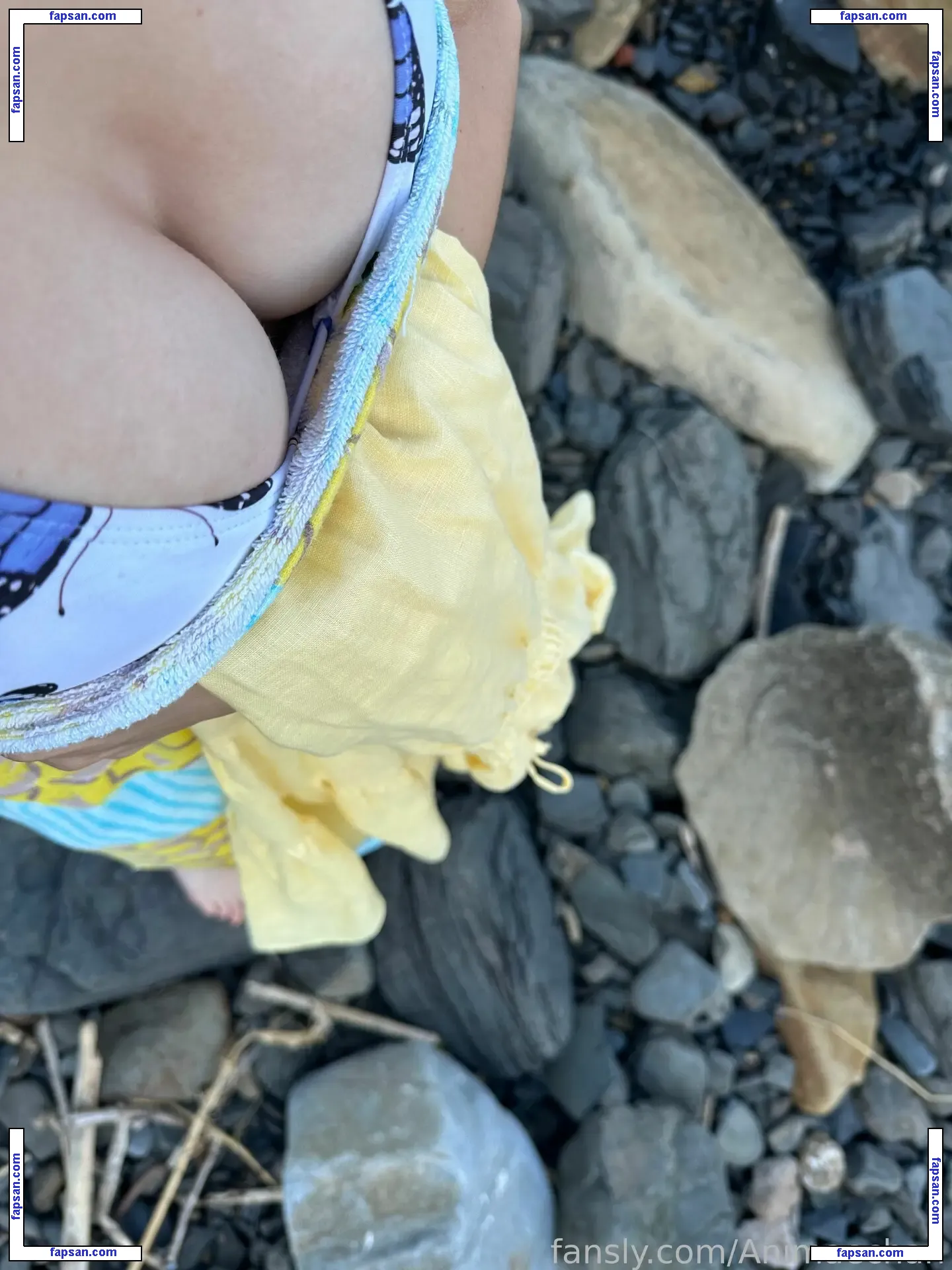 Animaechan nude photo #0099 from OnlyFans