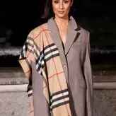 Anita Rani nude #0113