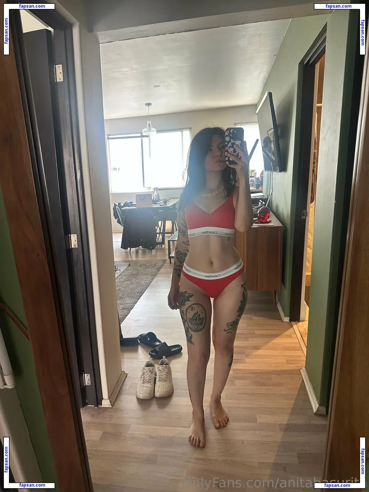anitabasurita nude photo #0017 from OnlyFans