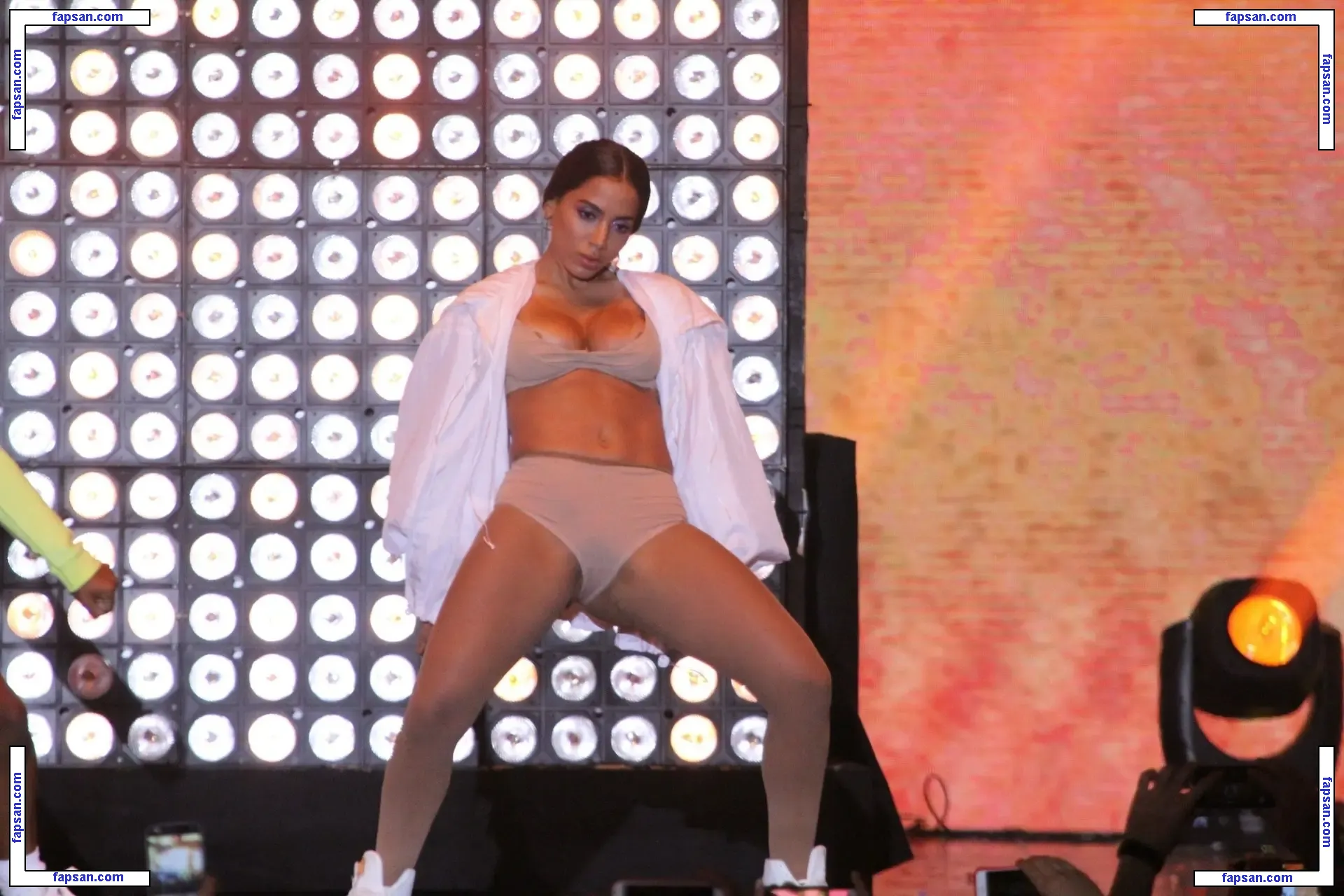 Anitta nude photo #0282 from OnlyFans