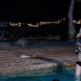 Anna Kendrick nude #0139